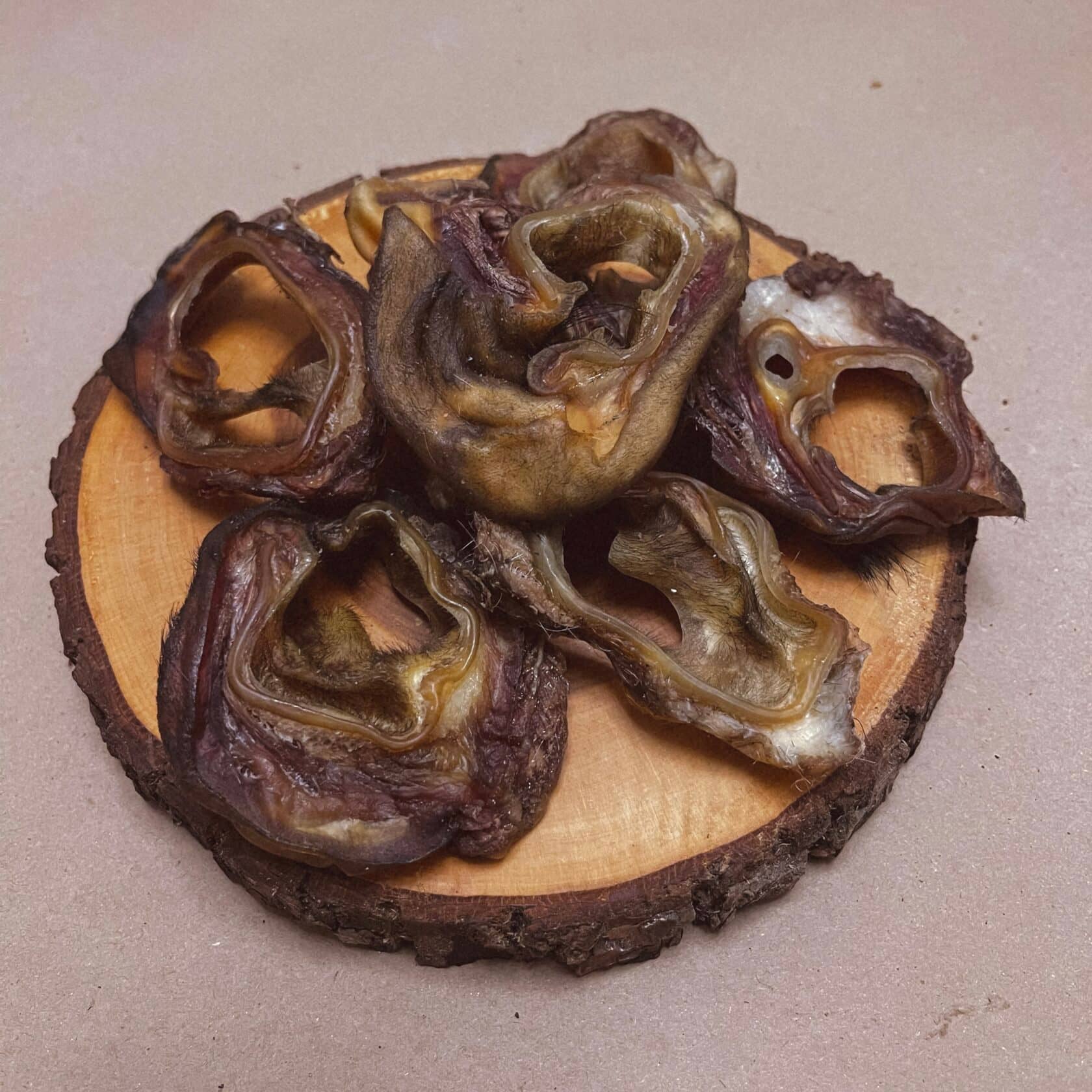 Ушные ракушки
